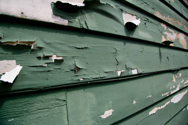 Best Moving and Downsizing Cleanouts  in Manistique, MI